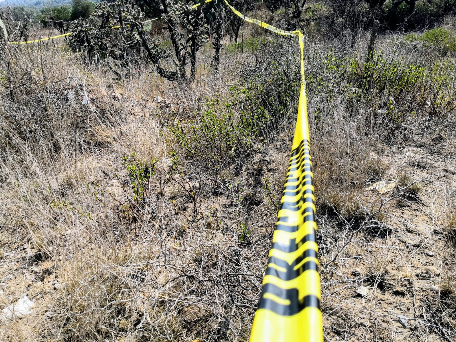 Encuentran cuerpo en estado de descomposición en Atotonilco de Tula