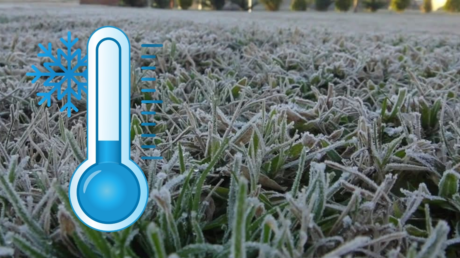 Frente frío 13 traerá lluvias y bajas temperaturas en Hidalgo