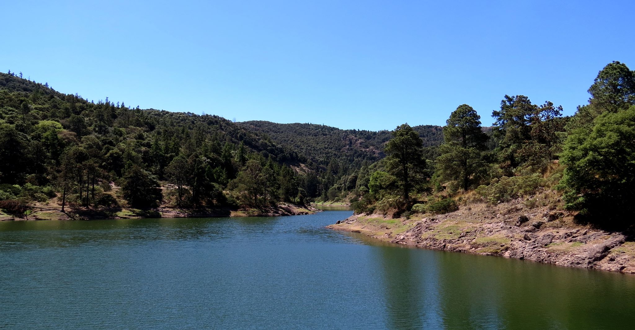 Parque Ecológico de Hidalgo: así responden a temores y rumores ciudadanos