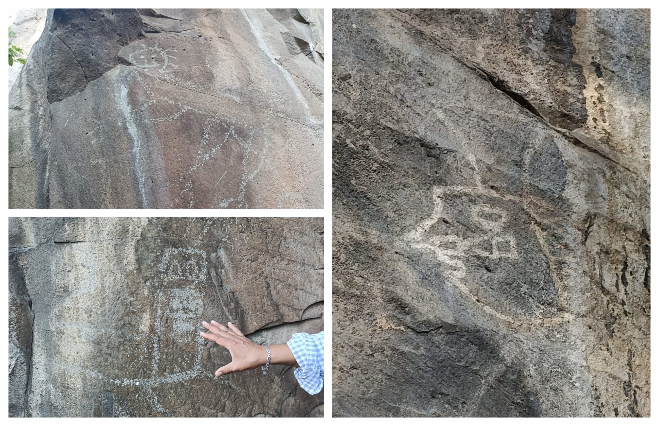 El Venado: el sitio arqueológico en Tula que frenó el paso del tren México-Querétaro