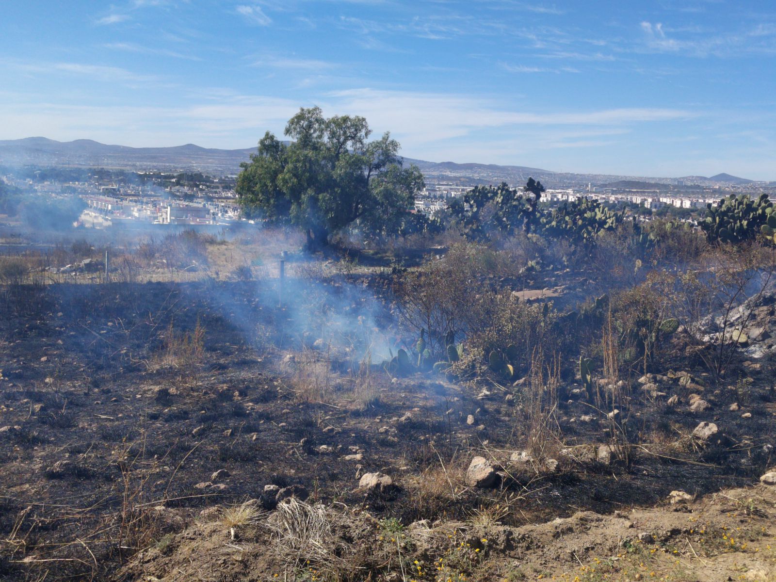 Fuerte incendio sorprende a vecinos de Mineral de la Reforma