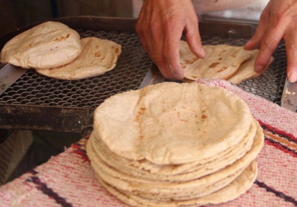 Empresas harineras pagan el kilo de maíz a $4 o 5 y venden el de tortillas a $27: productor