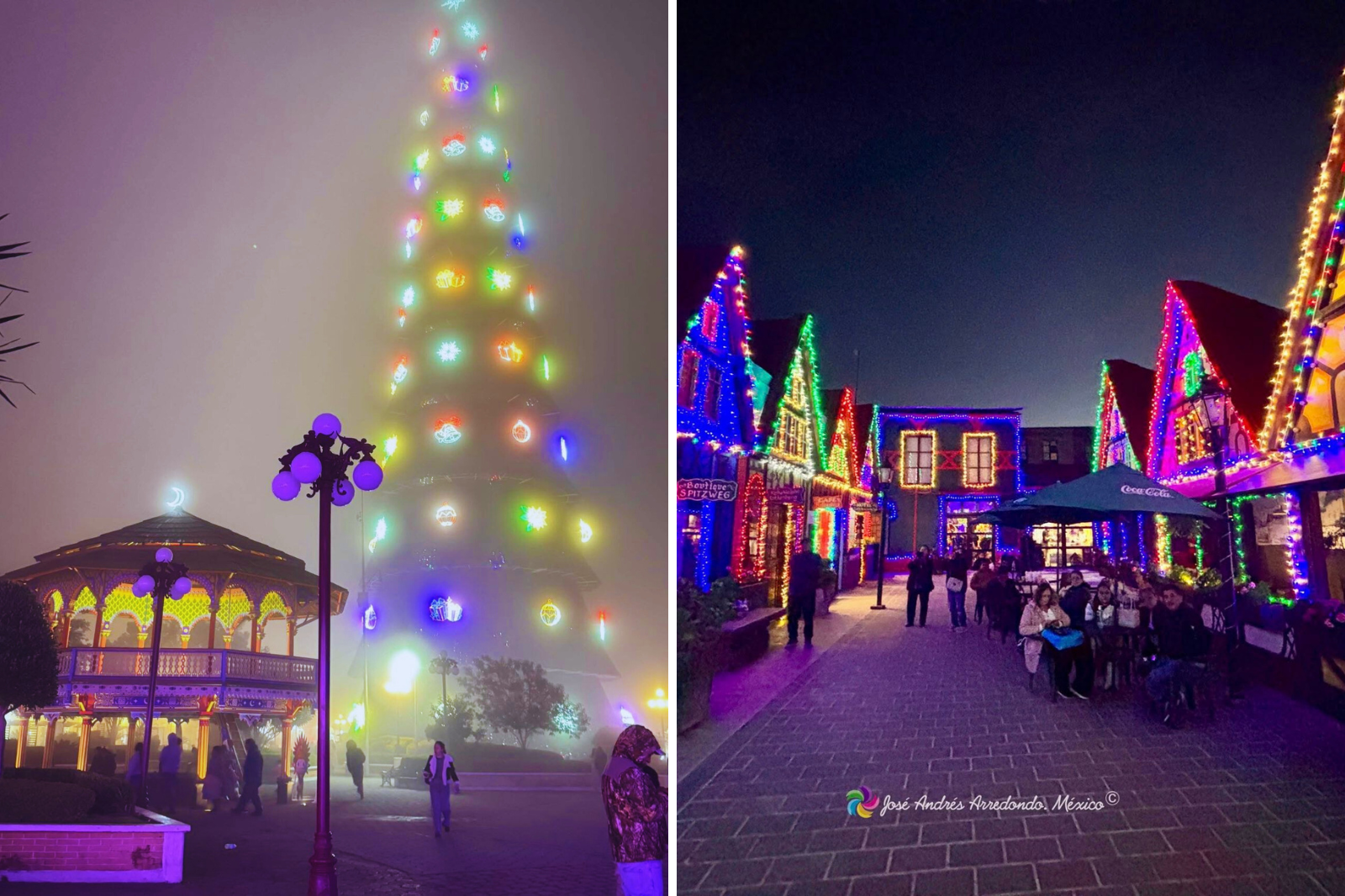 ¡La Navidad ya empezó en México! Descubre dónde ya encendieron el árbol y viven la magia decembrina