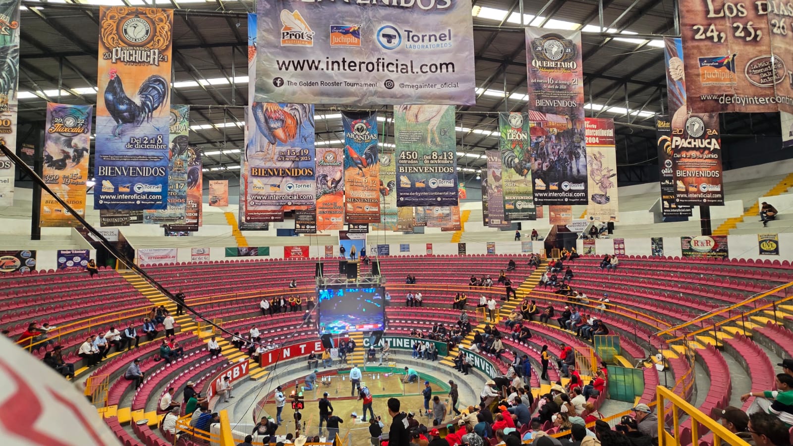 Mega Derby en riesgo tras reforma sobre animales sintientes en Hidalgo