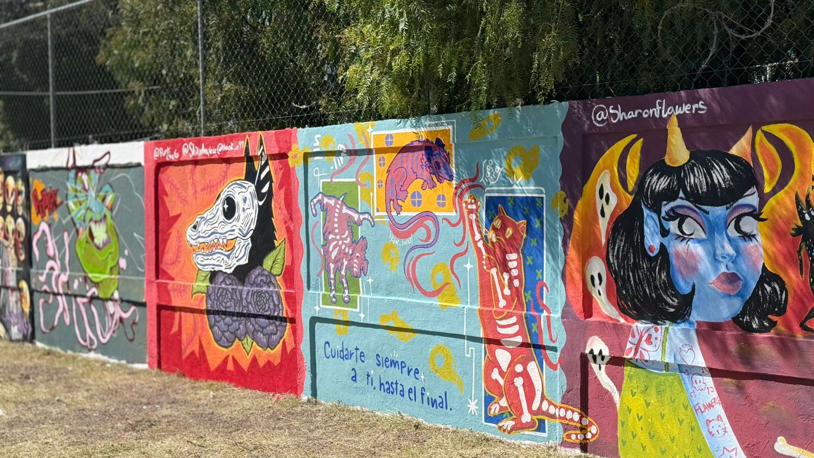 Más de 50 murales ya forman parte del paisaje urbano de Pachuca y el proyecto aún sigue creciendo.