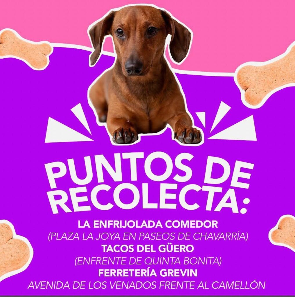 colecta para centro de control caníno comunitario