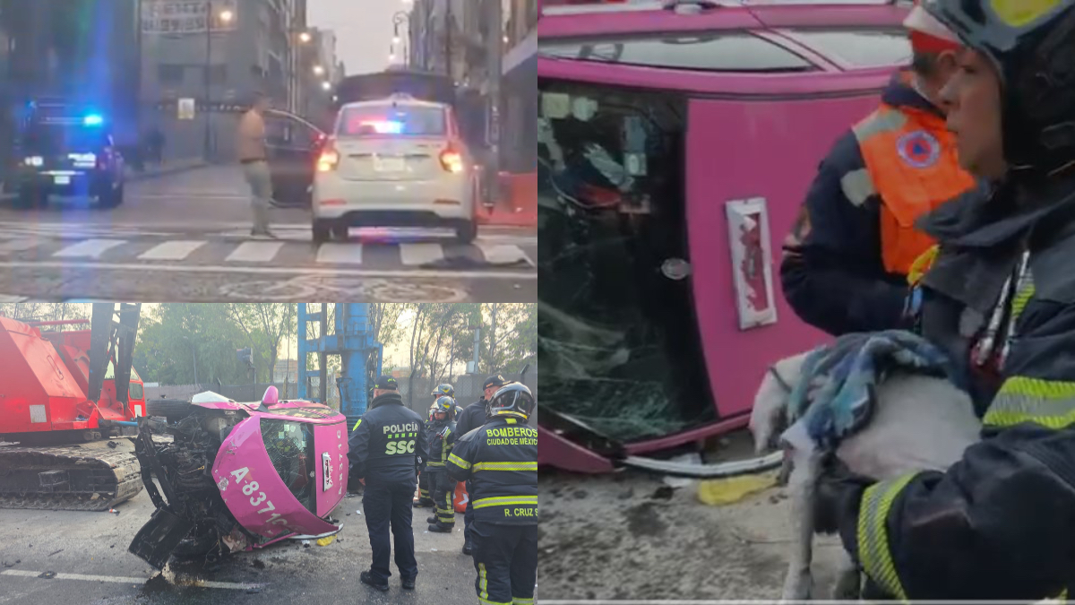 Milagro navideño: perrito sobrevive a choque fatal tras volcadura de taxi en CDMX, VIDEO se hace viral