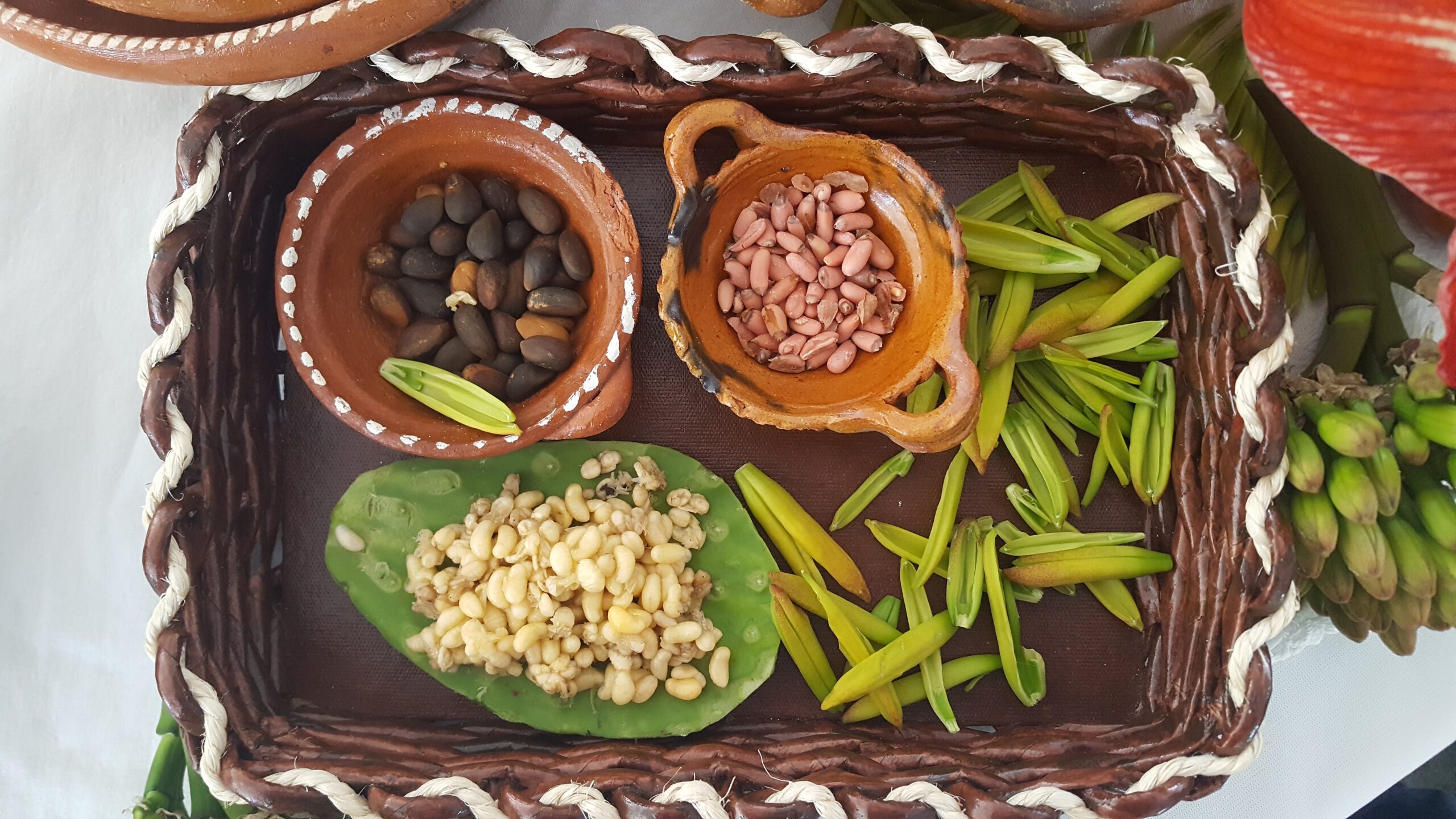 Gastronomía Hidalgo