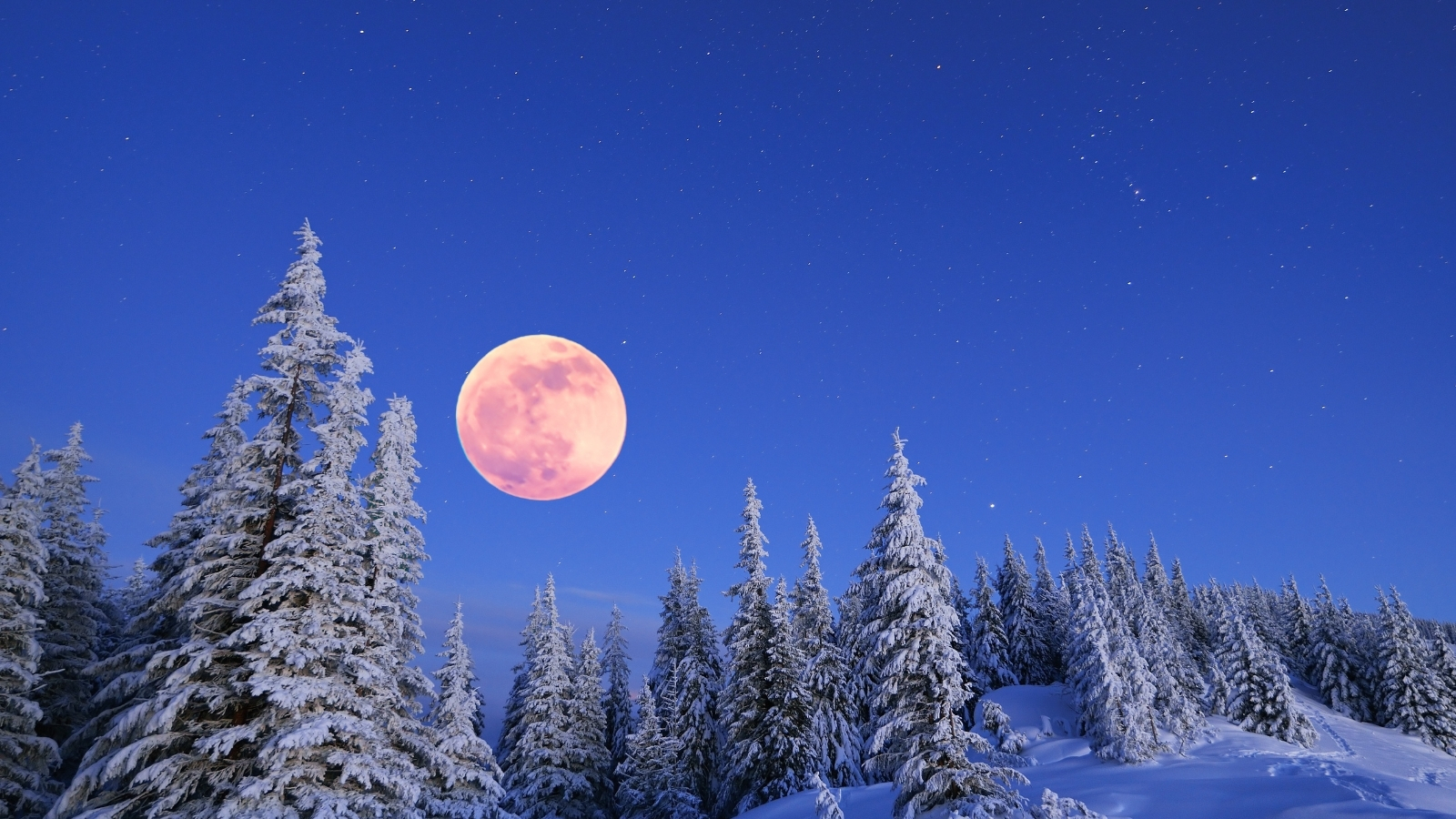 ¿Qué es la Luna de Nieve y cuándo podrá verse en México?