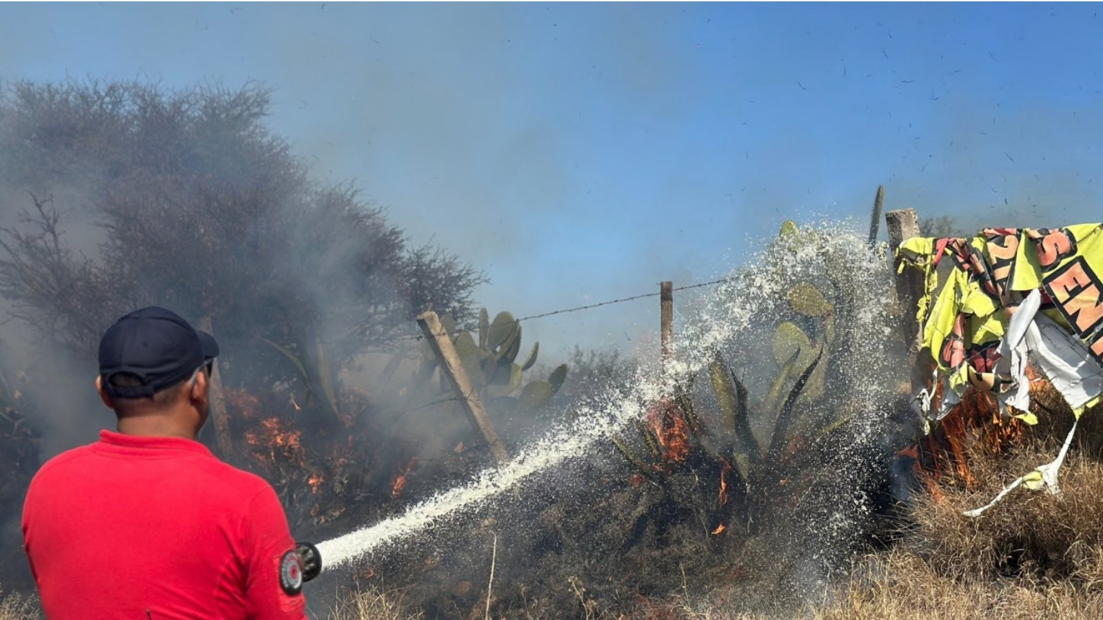 El incendio ocurrió a un costado de la carretera México–Laredo, en El Arenal.