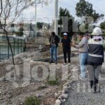 Trabajos de revegetación en la ribera del río Tula