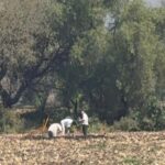 Autoridades atienden fuga de hidrocarburo