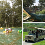 Safari, tirolesa y diversión en familia te esperan en Bioparque Estrella cerca de Pachuca. Plan perfecto para el fin de semana.