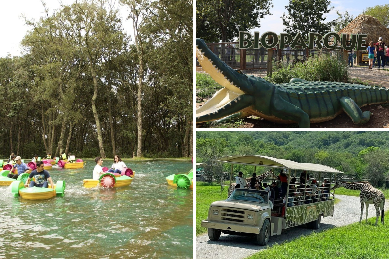 Safari, tirolesa y diversión en familia te esperan en Bioparque Estrella cerca de Pachuca. Plan perfecto para el fin de semana.