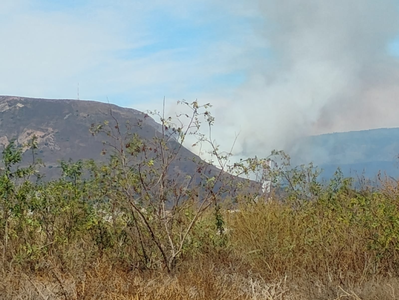 Incendio moviliza a brigadas en zona urbana de Pachuca