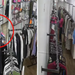 Un robo en una tienda de Pachuca terminó en acuerdo económico y liberación. Así se resolvió el caso.