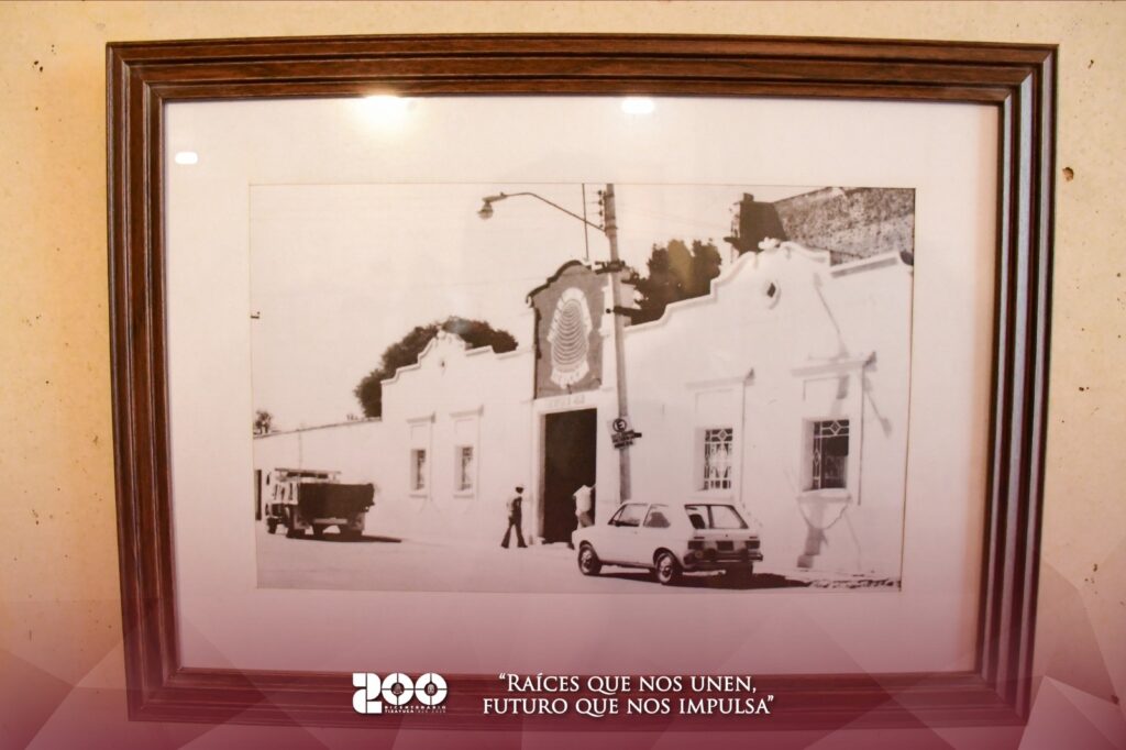 Exposiciones raíces que nos unen 