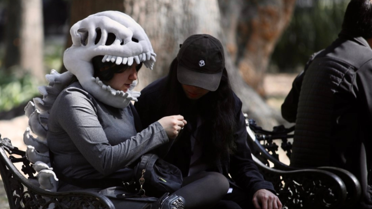 Estudio de la UNAM muestra que los jóvenes aprenden más de los memes que en espacios culturales tradicionales.