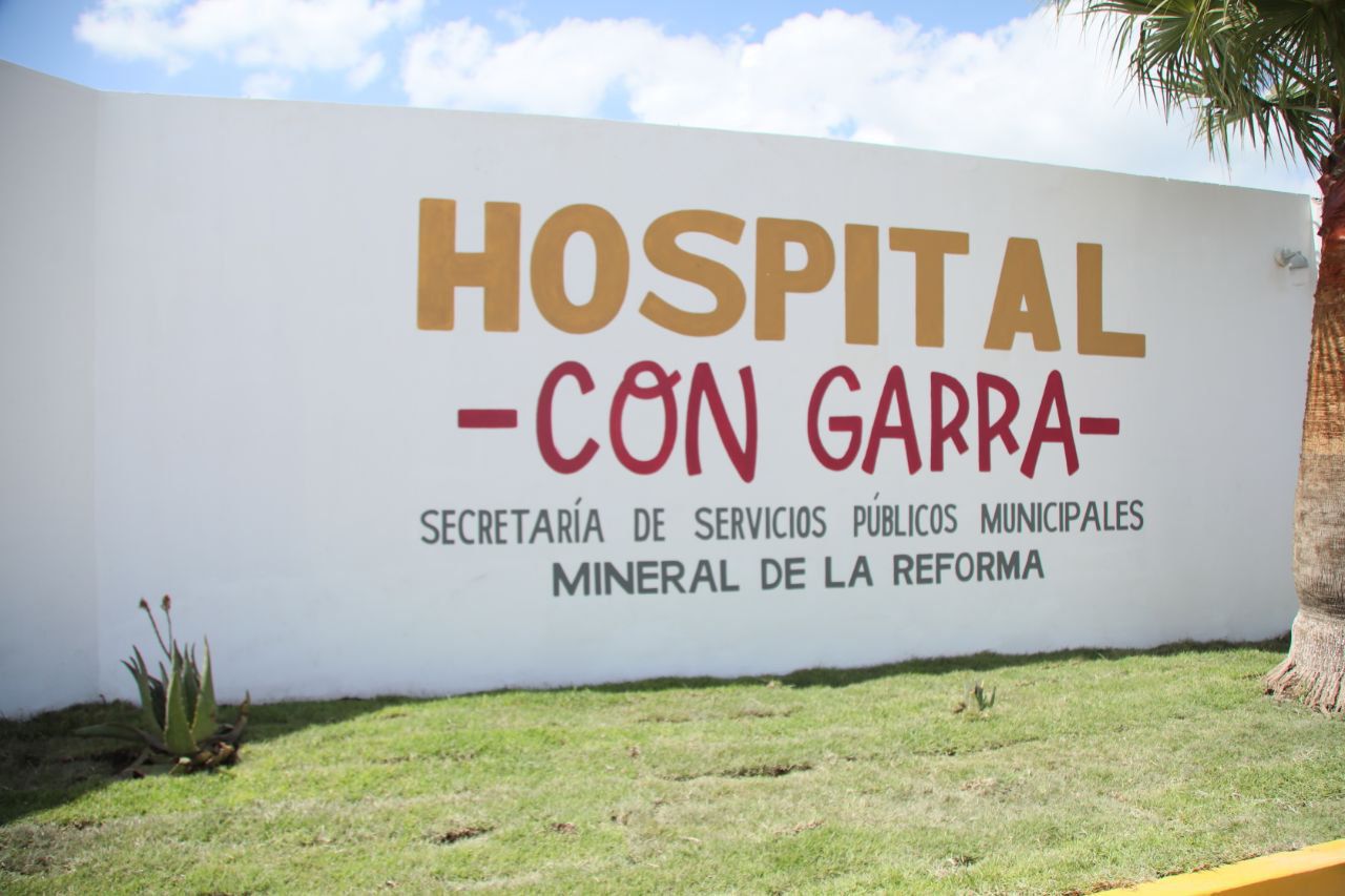 Hospital Veterinario Municipal de Mineral de la Reforma