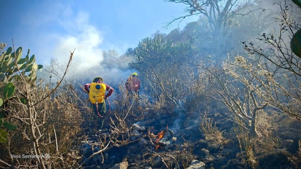 Incendio forestal en Tezontepec de Aldama