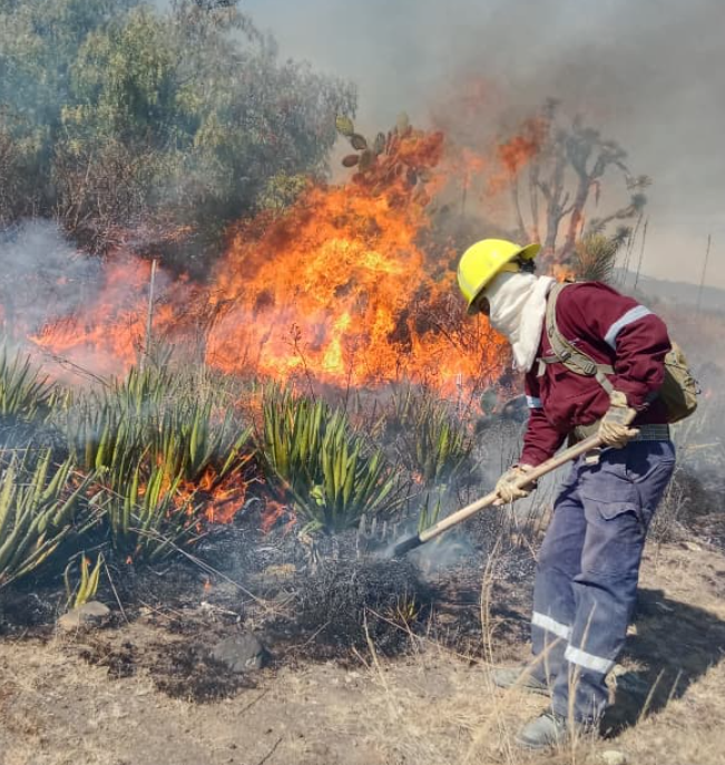 Incendios forestales en Hidalgo