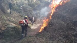 Incendio forestal