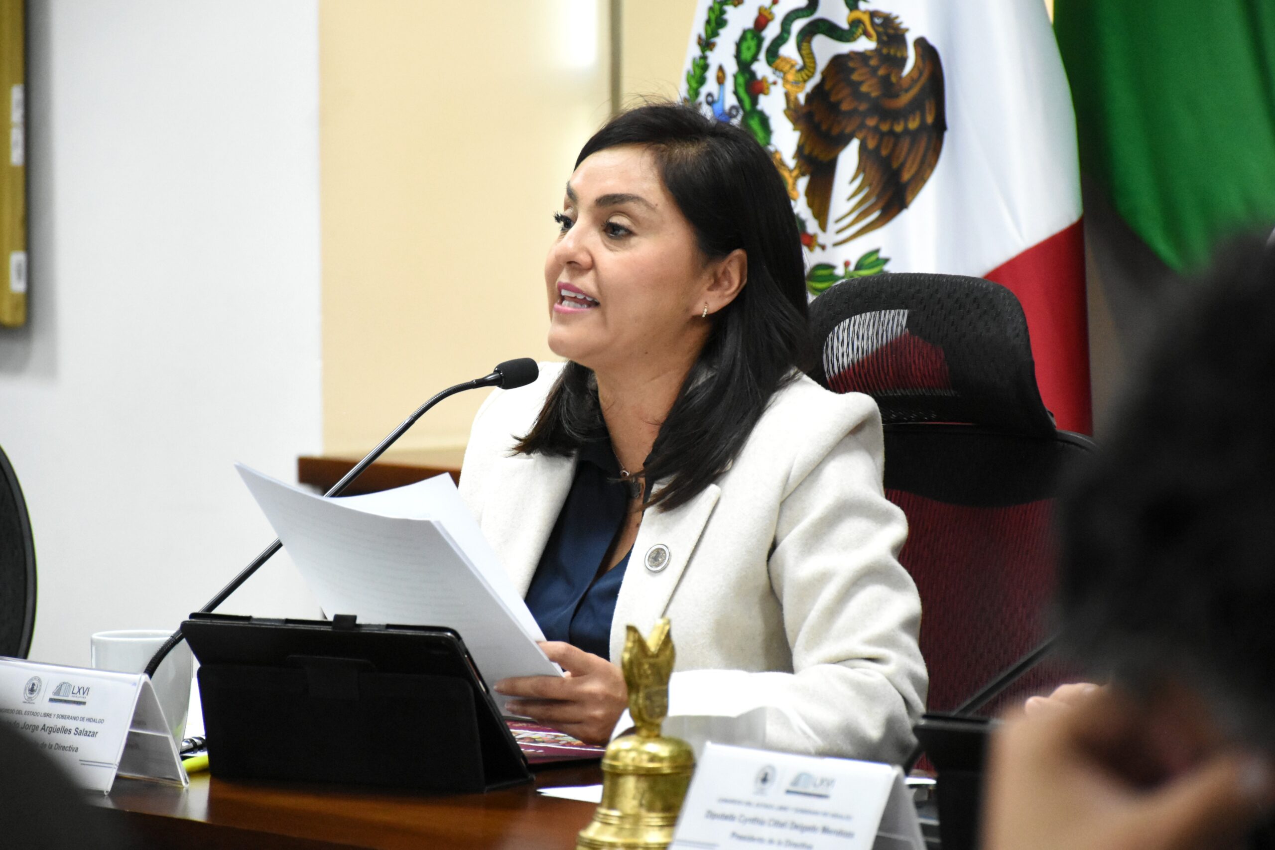 Diputada Cynthia Citlali Delgado Mendoza