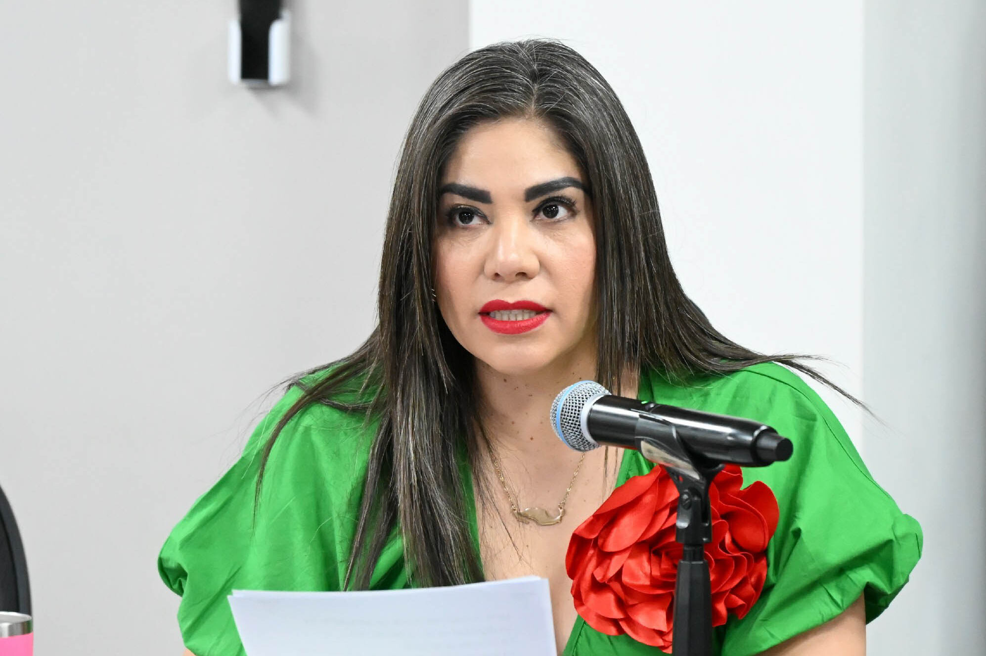 Diputada Johana Montcerrat Hernández Pérez