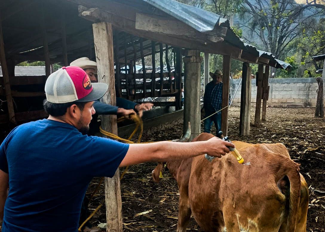 Jornada de vacunación