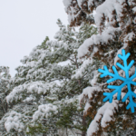 Desde 1 grado a caída de nieve: el Frente Frío 33 genera frío extremo, heladas y posibles nevadas en Edomex y CDMX este 5 y 6 de febrero.