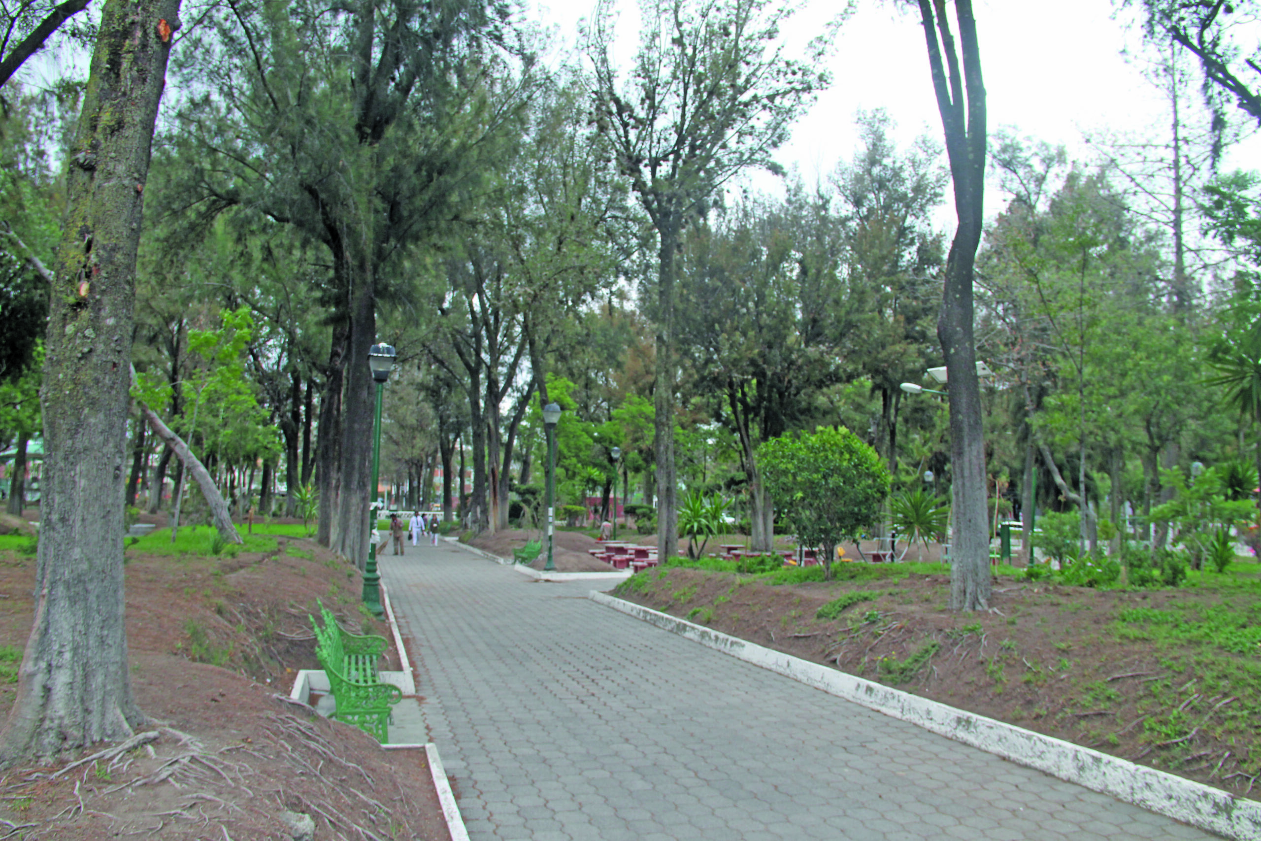 Rehabilitarán Parque Pasteur y Jardín del Arte