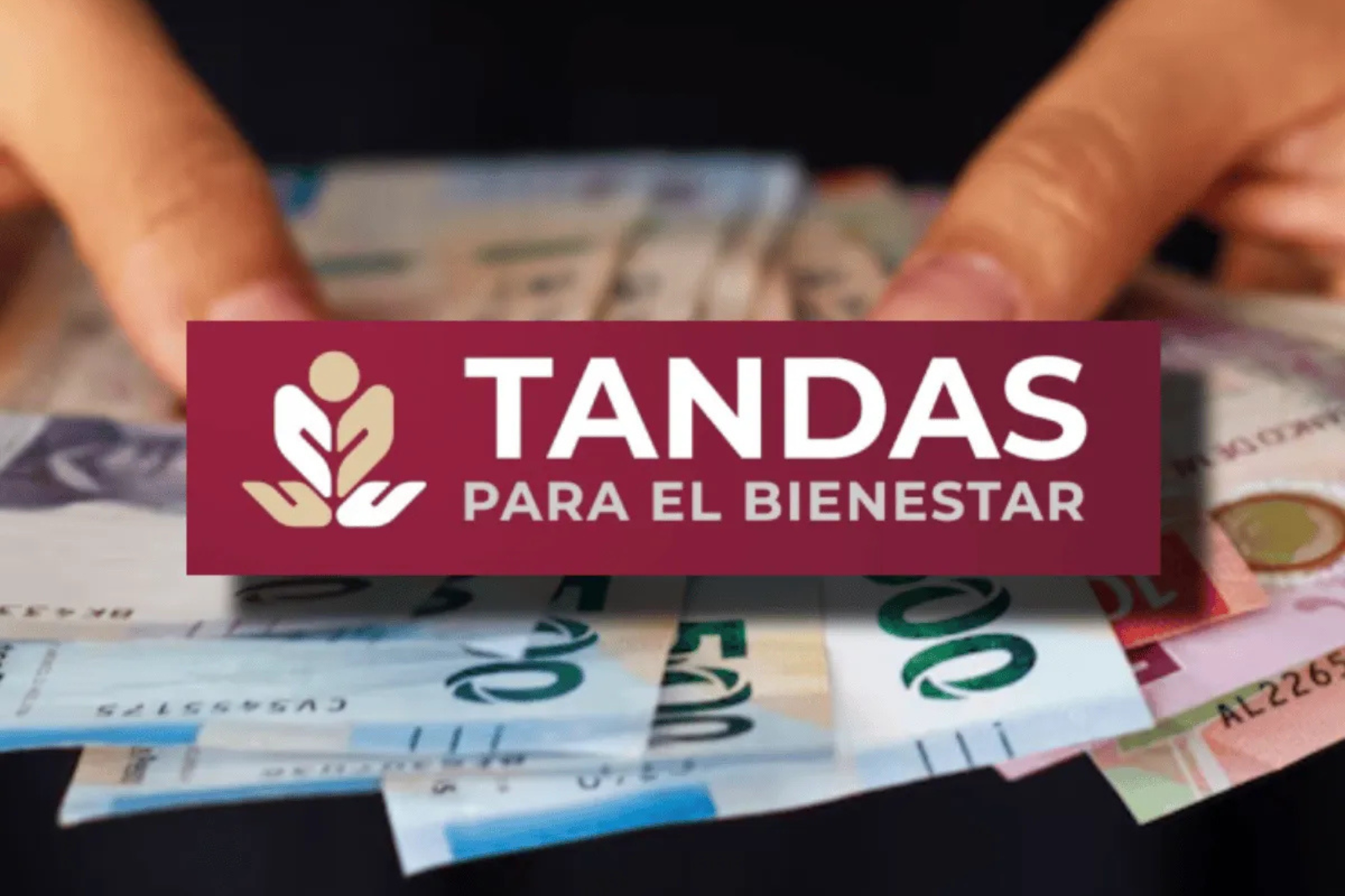 Financiamiento, emprendimiento y apoyo directo: así funciona Tandas Mujer Bienestar 2026.
