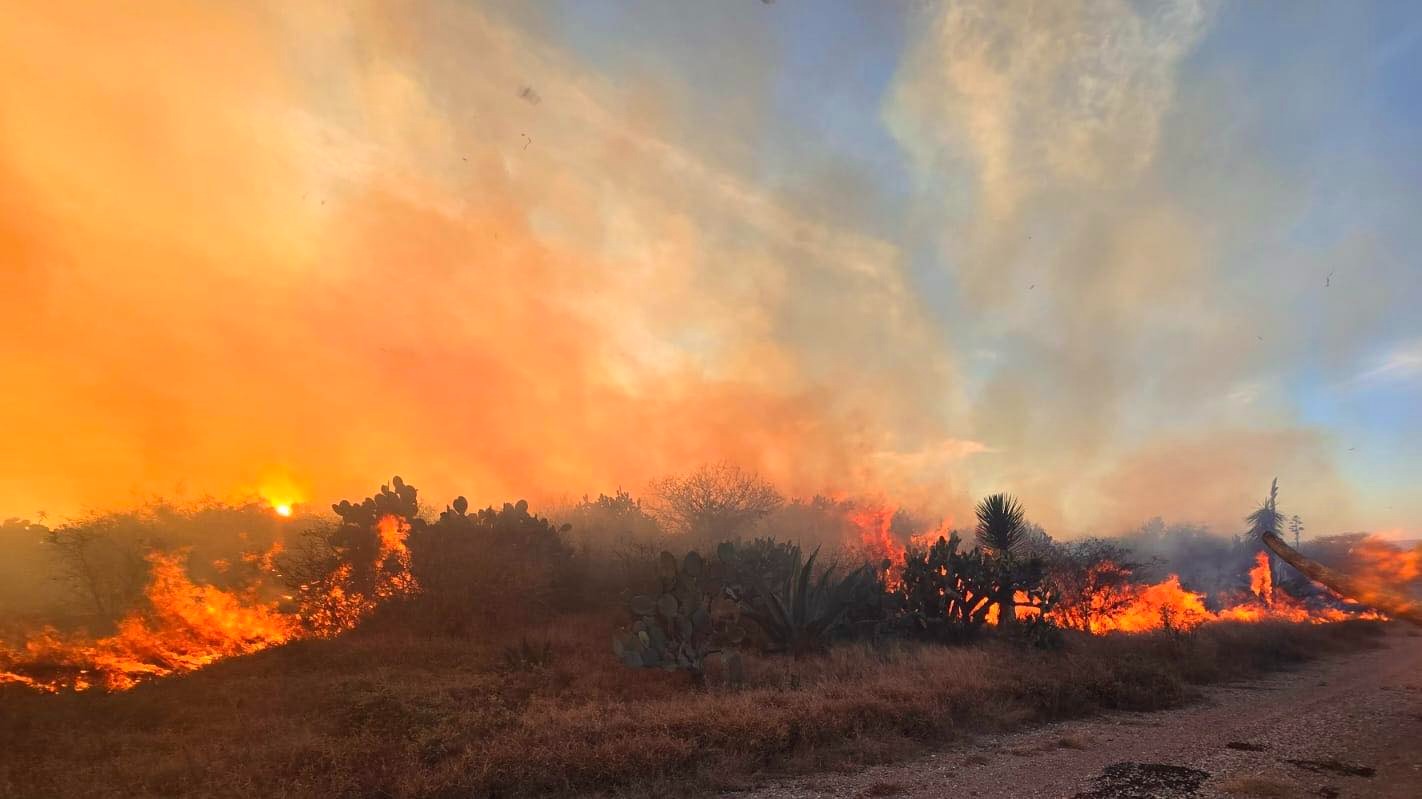Buscan determinar afectaciones al patrimonio histórico