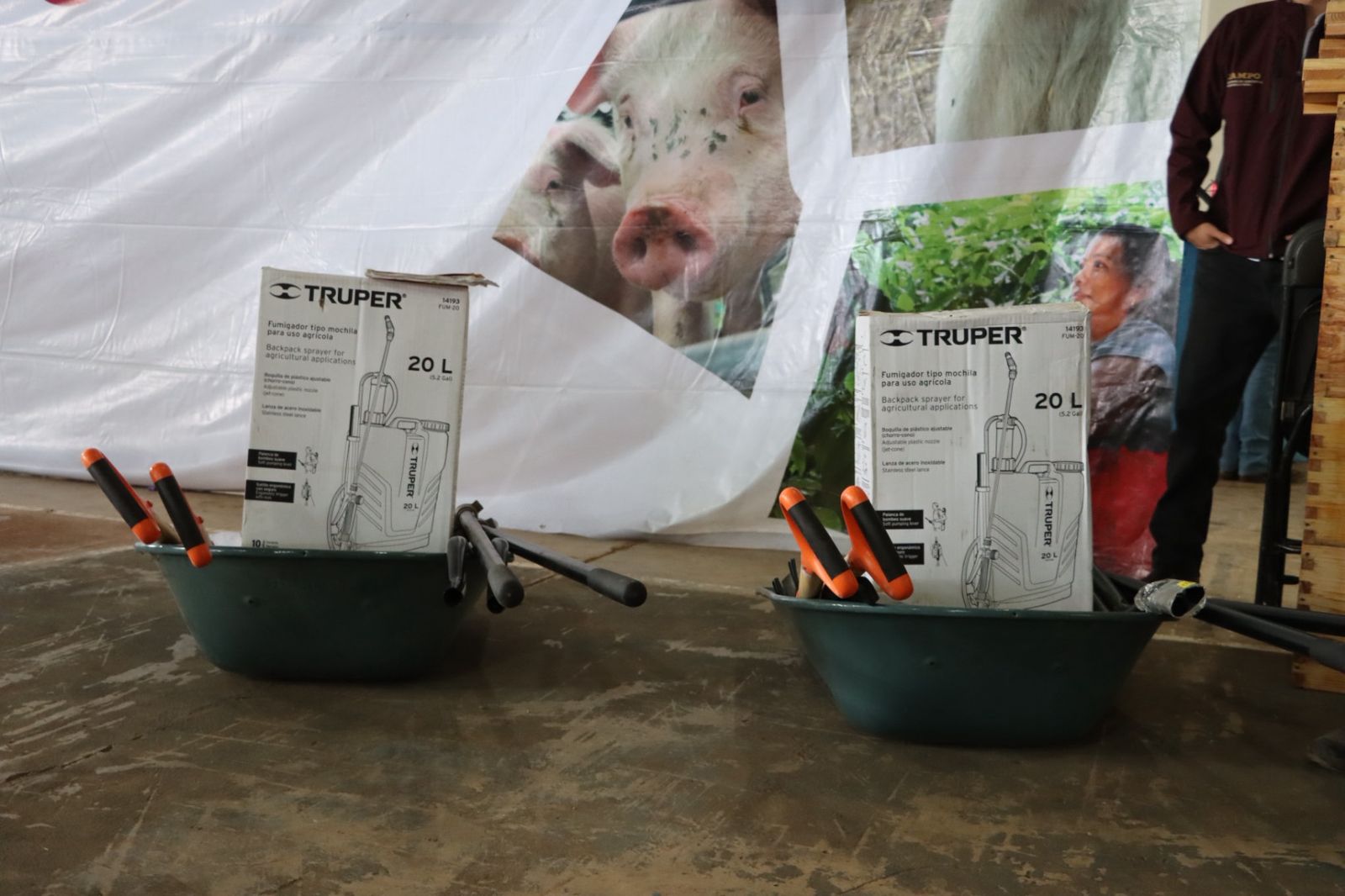 Sierra y Huasteca fortalecen su producción con recursos y equipamiento