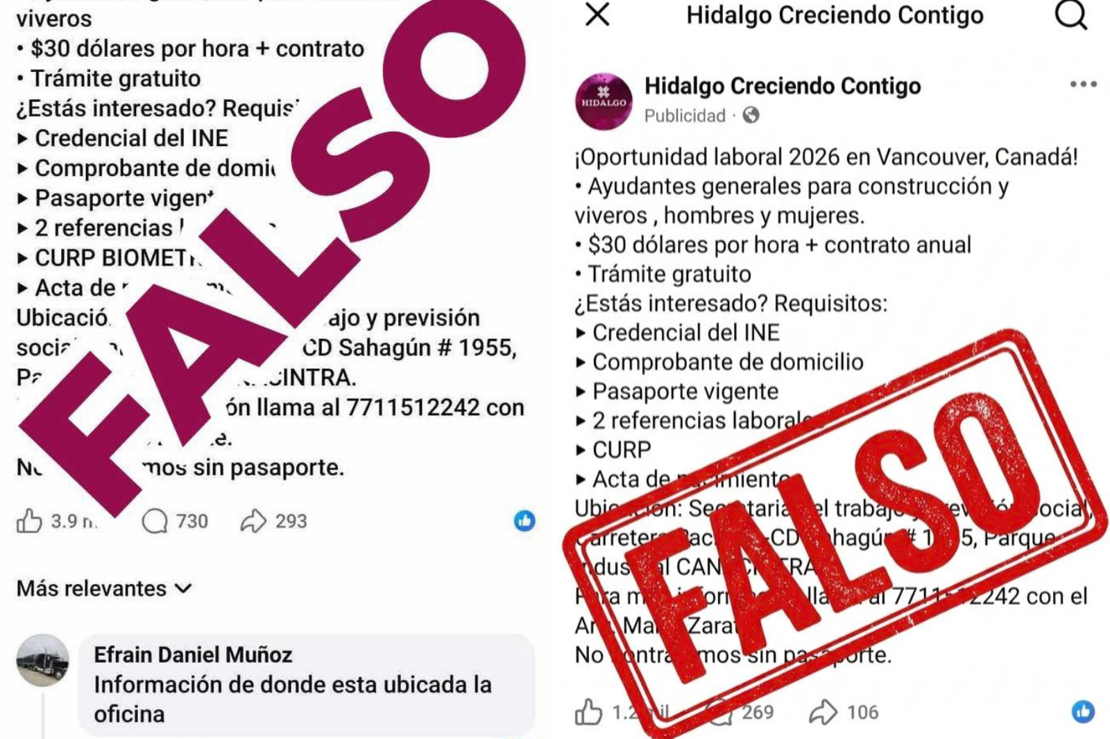 Antes de mandar tus datos o dinero, revisa bien: estas ofertas podrían no ser lo que parecen