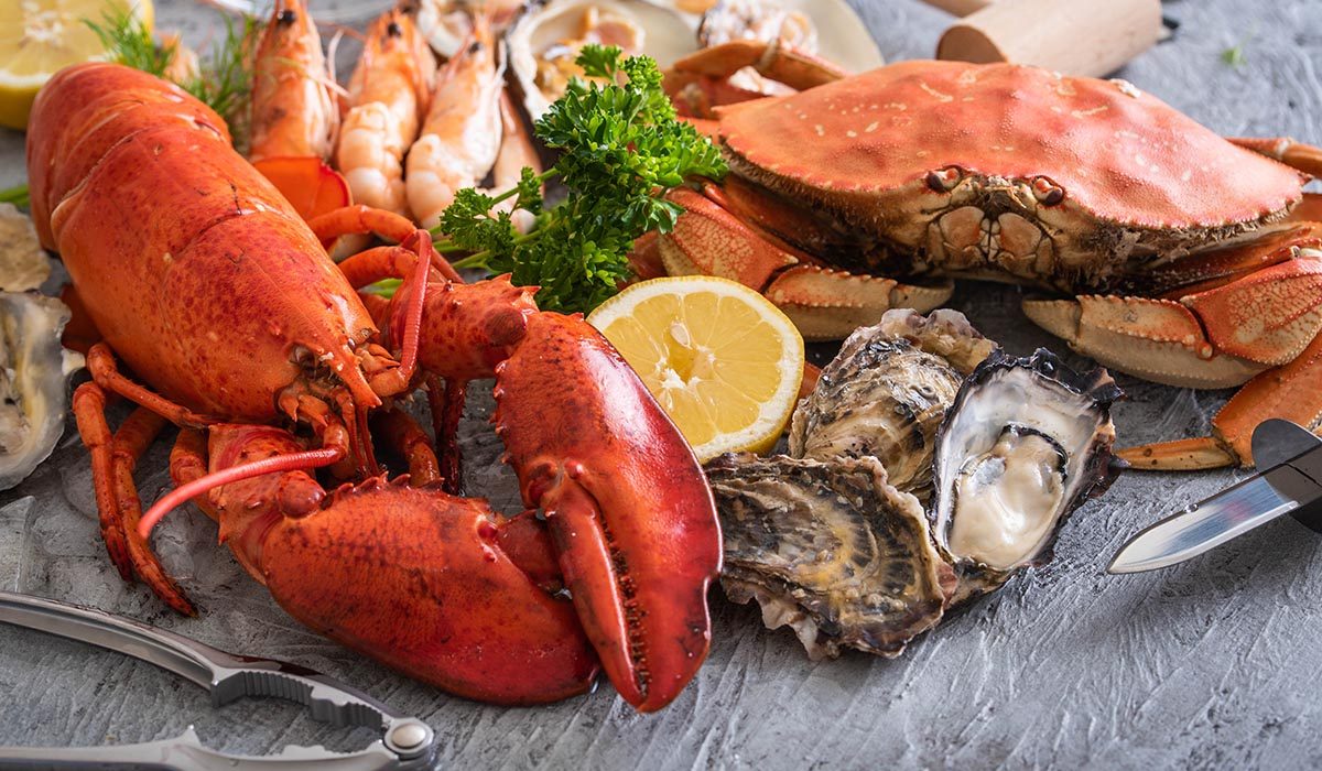 Mariscos frescos sí, pero con precaución: conoce cómo prevenir intoxicaciones peligrosas.