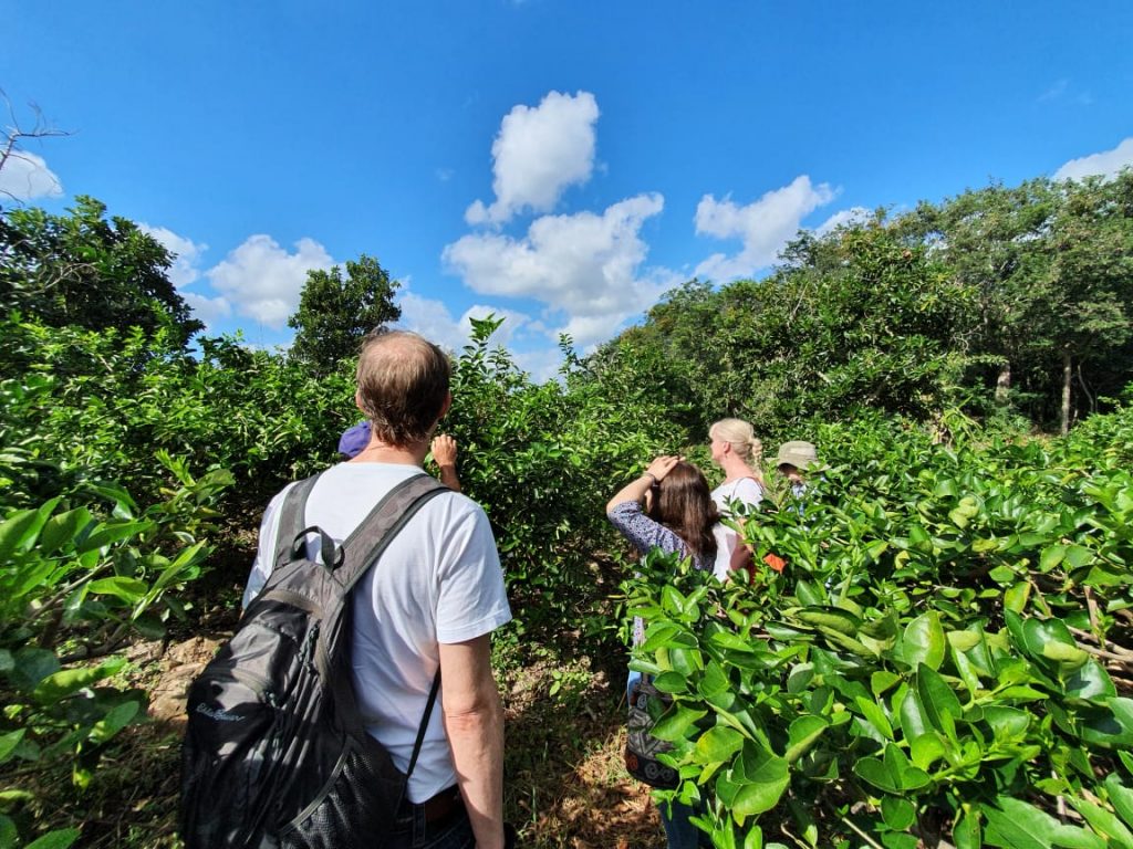 Entre tradición, naturaleza y gastronomía, estas experiencias podrían poner a Hidalgo en el mapa nacional del turismo.