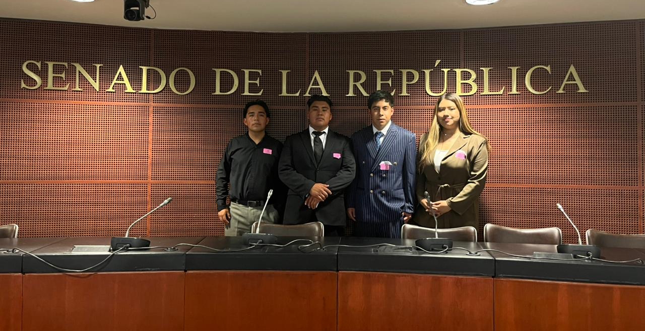 Estudiantes de la UPMH participando en las mesas de trabajo del Senado de la República sobre el T-MEC.