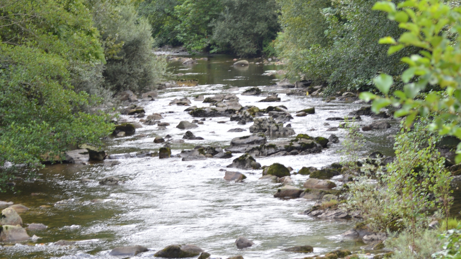 Río con corriente peligrosa
