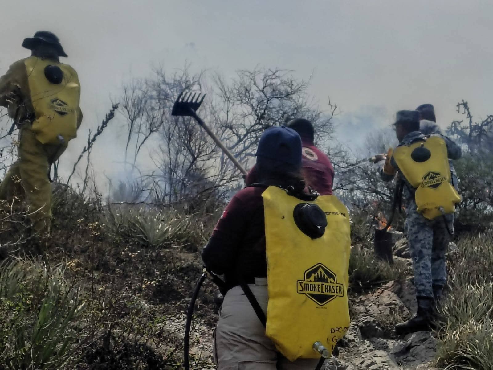 El fuego avanzó durante todo el día, pero fue contenido antes de llegar a zonas habitadas. Esto se sabe del incendio