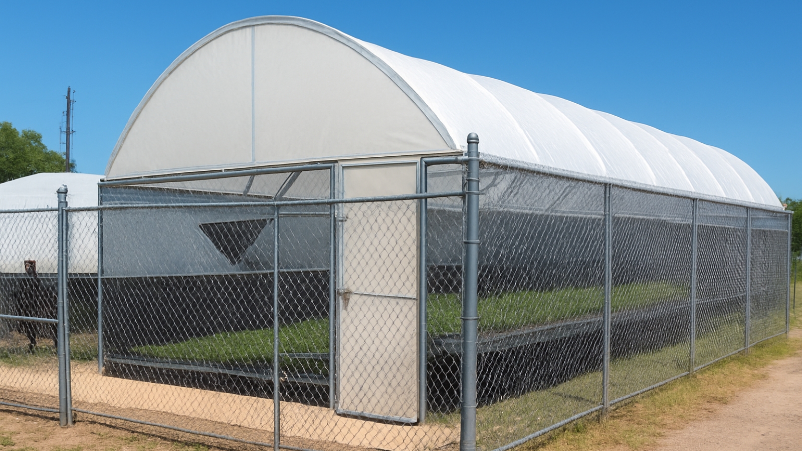 Módulos de acuaponía