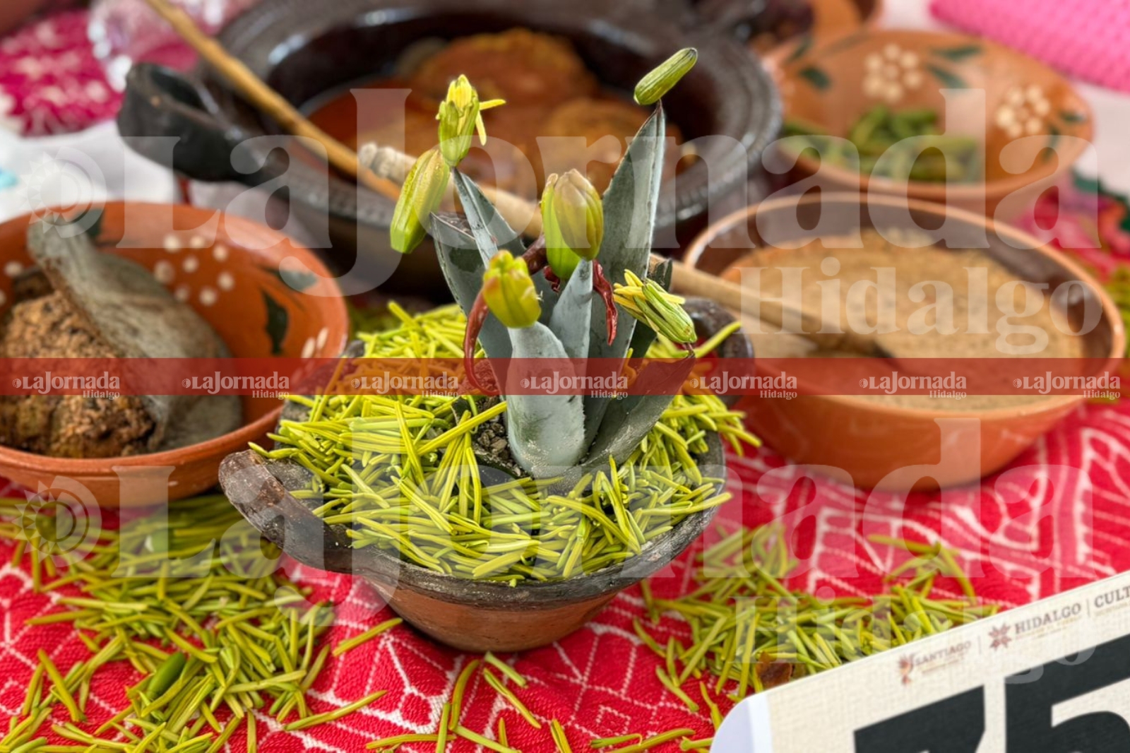 Entre comida y tradición, autoridades detectan irregularidades en pleno evento en Hidalgo