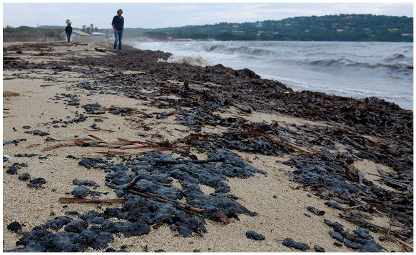 El daño sigue apareciendo: playas contaminadas, fauna afectada y un problema que no se ha ido.