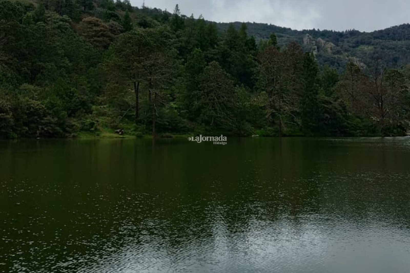 Una llamada al 911 movilizó a emergencias tras un posible ahogamiento en San Miguel el Cerezo.