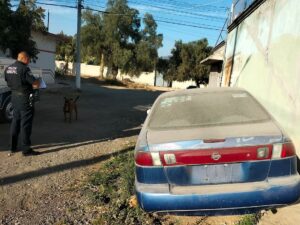 Auto abandonado