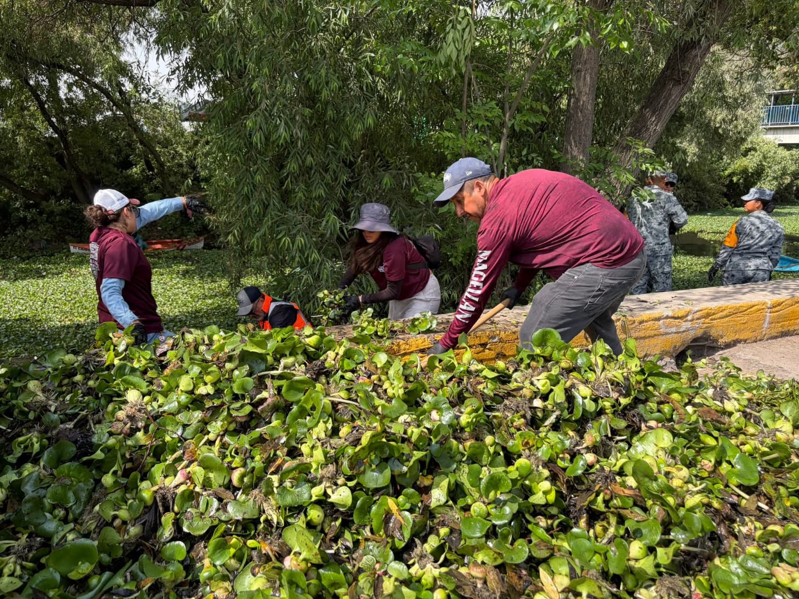 Tepeji analiza nuevas medidas para contener el lirio acuático en el río y evitar riesgos sanitarios