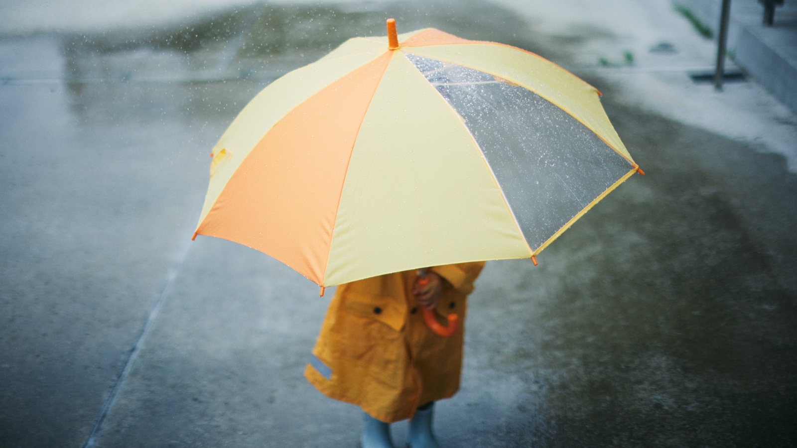 Lluvias y fuertes vientos