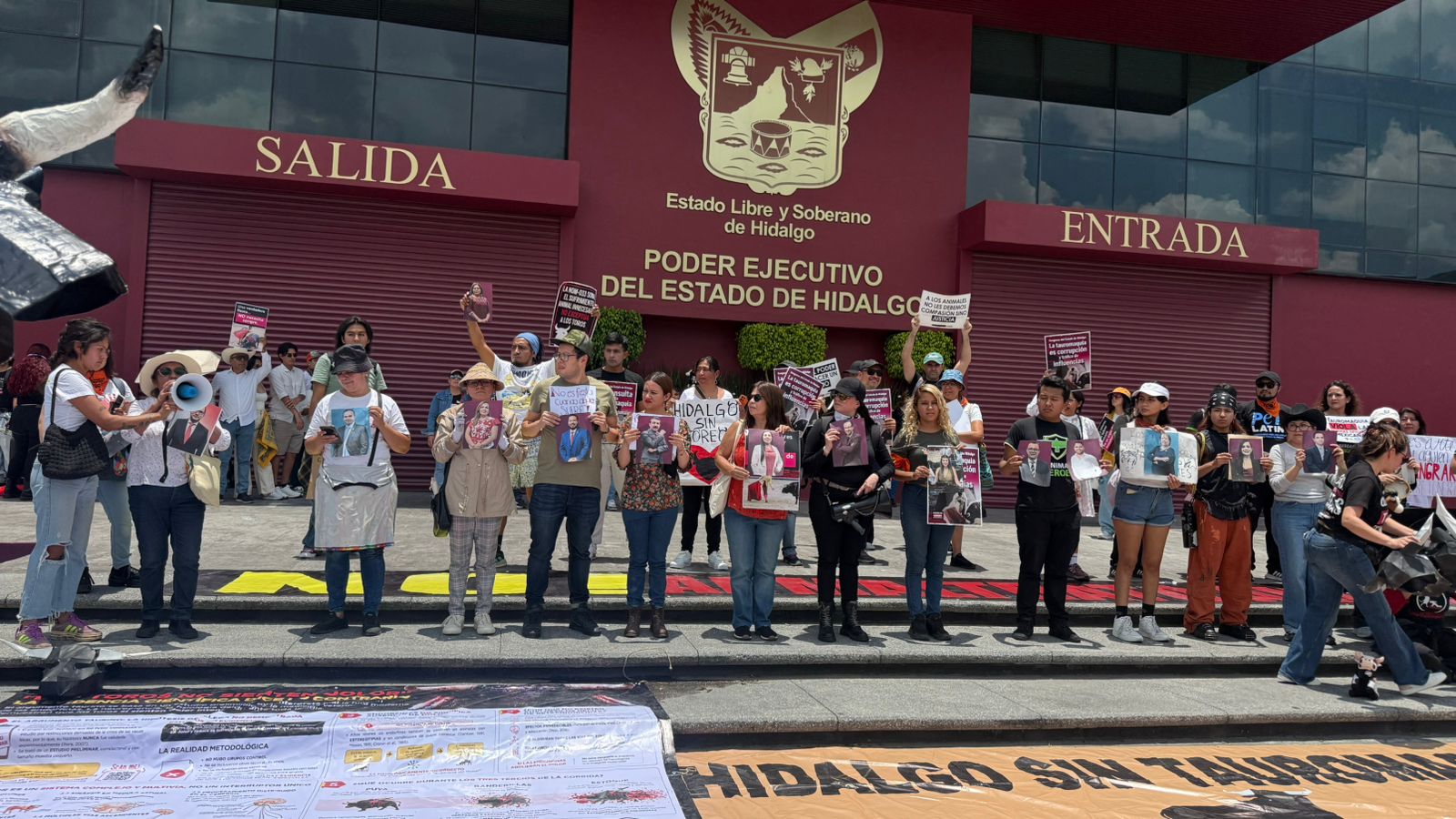 Activistas recurren a la justicia federal para blindar las leyes contra el maltrato animal en Hidalgo