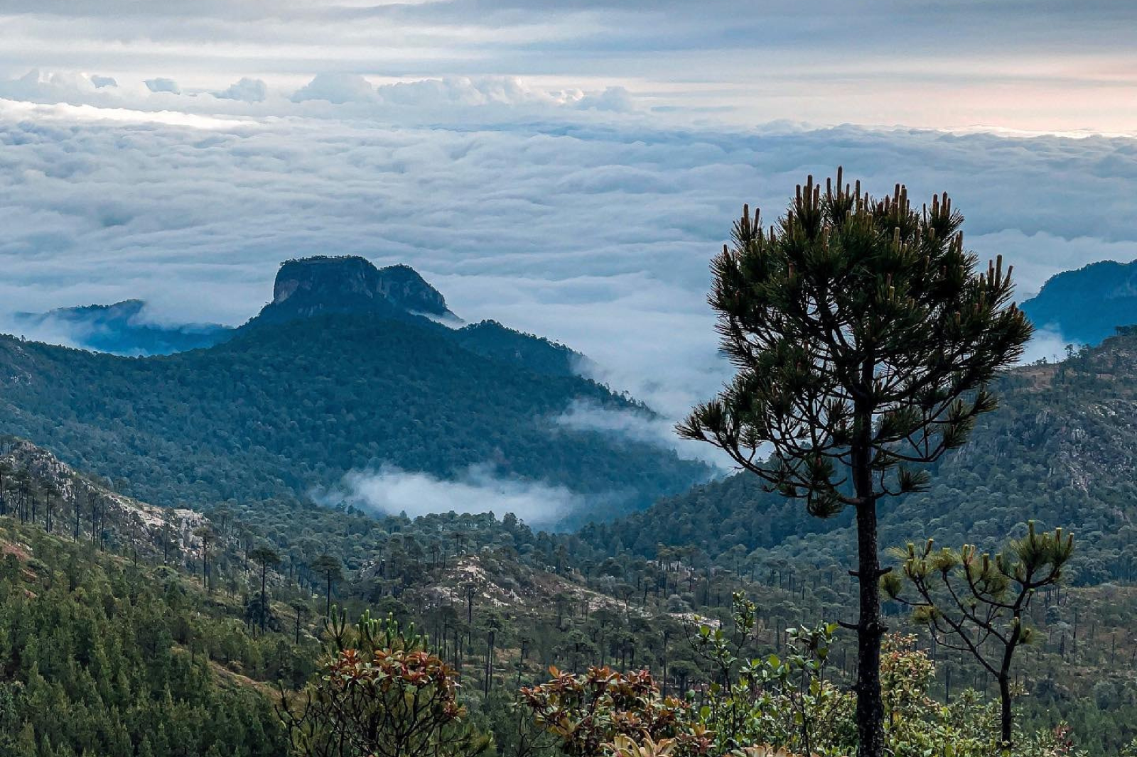 Cuevas, montañas y obsidiana natural. El destino escondido de Hidalgo que pocos conocen
