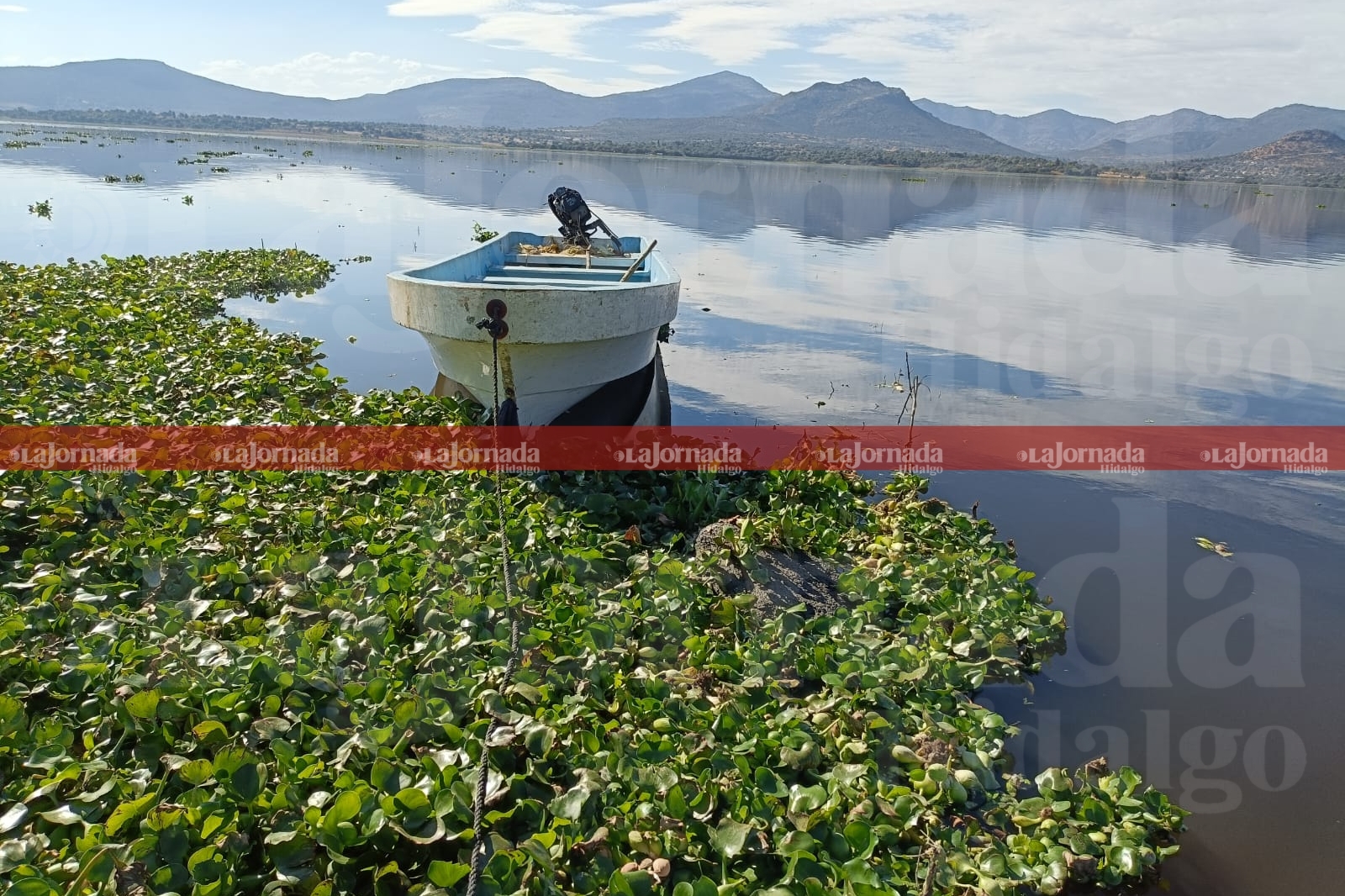 presa Endhó